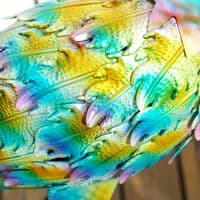 Multi Colour Steel Peacock Garden Statue