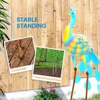 Multi Colour Steel Peacock Garden Statue