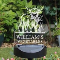 Personalised Highland Cow Garden Solar Light