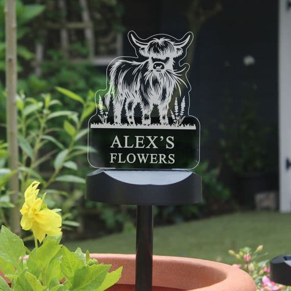 Personalised Highland Cow Garden Solar Light
