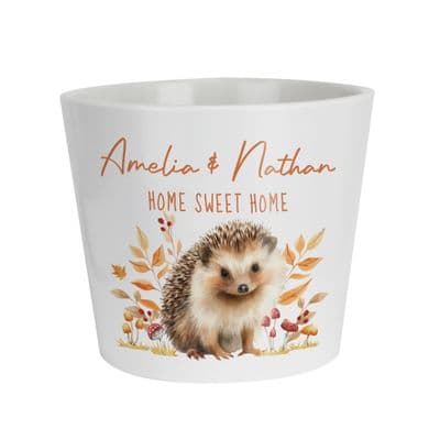 Personalised Large Ceramic Hedgehog Plant Pot
