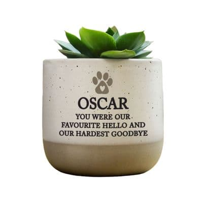 Personalised Pet Memorial Flecked Ceramic Plant Pot