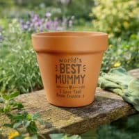 Personalised World's Best Terracotta Plant Pot