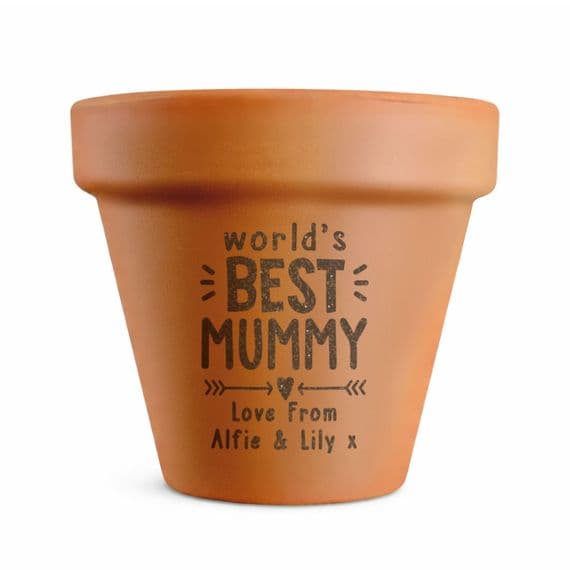 Personalised World's Best Terracotta Plant Pot