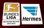 2014-15 Bayern Munich BUNDESLIGA CHAMPIONS Football OFFICIAL DekoGraphics Soccer Badge Patch Set