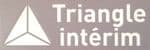 2017-18 & 2019-20 AS Monaco Home/Away Shirt TRIANGLE INTERIM Official Arm Sleeve Sponsor Logo
