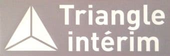 2017-18 & 2019-20 AS Monaco Home/Away Shirt TRIANGLE INTERIM Official Arm Sleeve Sponsor Logo