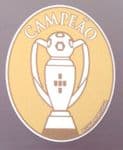 2017-18/2019-20 FC PORTO Liga Nos CAMPEAO Champions Official Player Issue Size Football Badge Patch