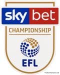 2018-19/20 Sky Bet EFL Championship Official Player Issue Size Football Soccer Badge Patch