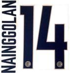 2018-19 Inter Milan NAINGGOLAN#14 Third Shirt OFFICIAL Stilscreen Name Number Set