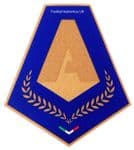 2019-20 Italian Serie A **MVP** Lega Calcio Official Player Issue Size Football Soccer Badge Patch