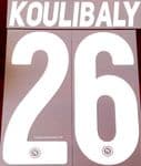 2019-20 Napoli**Serie A**Home & Away Shirt KOULIBALY#26 Official Football Name Number Set