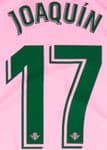 2019-20 Real Betis Third Shirt JOAQUIN#17 Official Player Issue Size Name Number Set