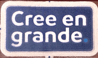 2019 Copa America**Cree En Grande**Official Player Issue Size Football Soccer Badge Patch