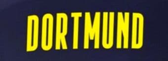2020-21/22 Dortmund DORTMUND Away Shirt Official Player Issue Size Back Of Shirt Logo