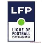 2020-21/22 French LFP REFEREE Official Match Issue Size Football Soccer Badge Patch