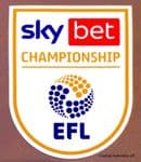 2020-21/22 Sky Bet EFL Championship Official Player Issue Size Football Soccer Badge Patch