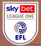 2020-21/22 Sky Bet EFL League One Official Player Issue Size Football Soccer Badge Patch
