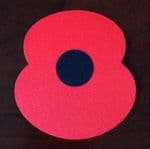 2021-22/23 English Football RBL POPPY Official Player Issue Size Football Soccer Badge Patch