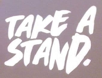 2021-22 Barclays FA WSL**Take A Stand**Official Player Issue Size Football Soccer Badge Patch