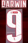 2021-22 Benfica LIGA BWIN Third Shirt DARWIN#9 Official Player Issue Size Name Number Set