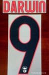 2021-22 Benfica UCL Away Shirt DARWIN#9 Official Player Issue Size Name Number Set