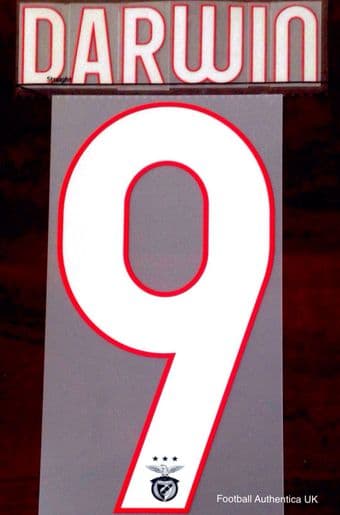 2021-22 Benfica UCL Third Shirt DARWIN#9 Official Player Issue Size Name Number Set