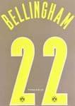 2021-22 Dortmund**UCL & DFB-POKAL**Fourth Shirt BELLINGHAM#22 Official Player Issue Name Number Set
