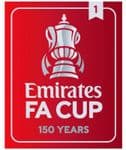 2021-22 Emirates FA Cup**150 YEARS**Winners 1**Official Player Issue Size Football Badge Patch