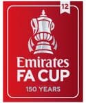 2021-22 Emirates FA Cup**150 YEARS**Winners 12**Official Player Issue Size Football Badge Patch