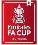 2021-22 Emirates FA Cup**150 YEARS**Winners 8**Official Player Issue Size Football Badge Patch
