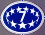 2021-22 Lyon**UWCL STARBALL BOH 7**Official Player Issue Size Football Soccer Badge Patch