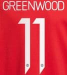 2021-22 Manchester United UCL & FA CUP Home Shirt GREENWOOD#11 Official Player Issue Name Number Set