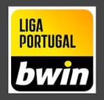 2021-23 Portuguese**LIGA PORTUGAL BWIN**Official Player Issue Size Football Soccer Badge Patch