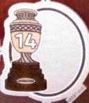 2021 Argentina**Copa America Winners Badge Of Honour 14**Official Player Issue Football Badge Patch