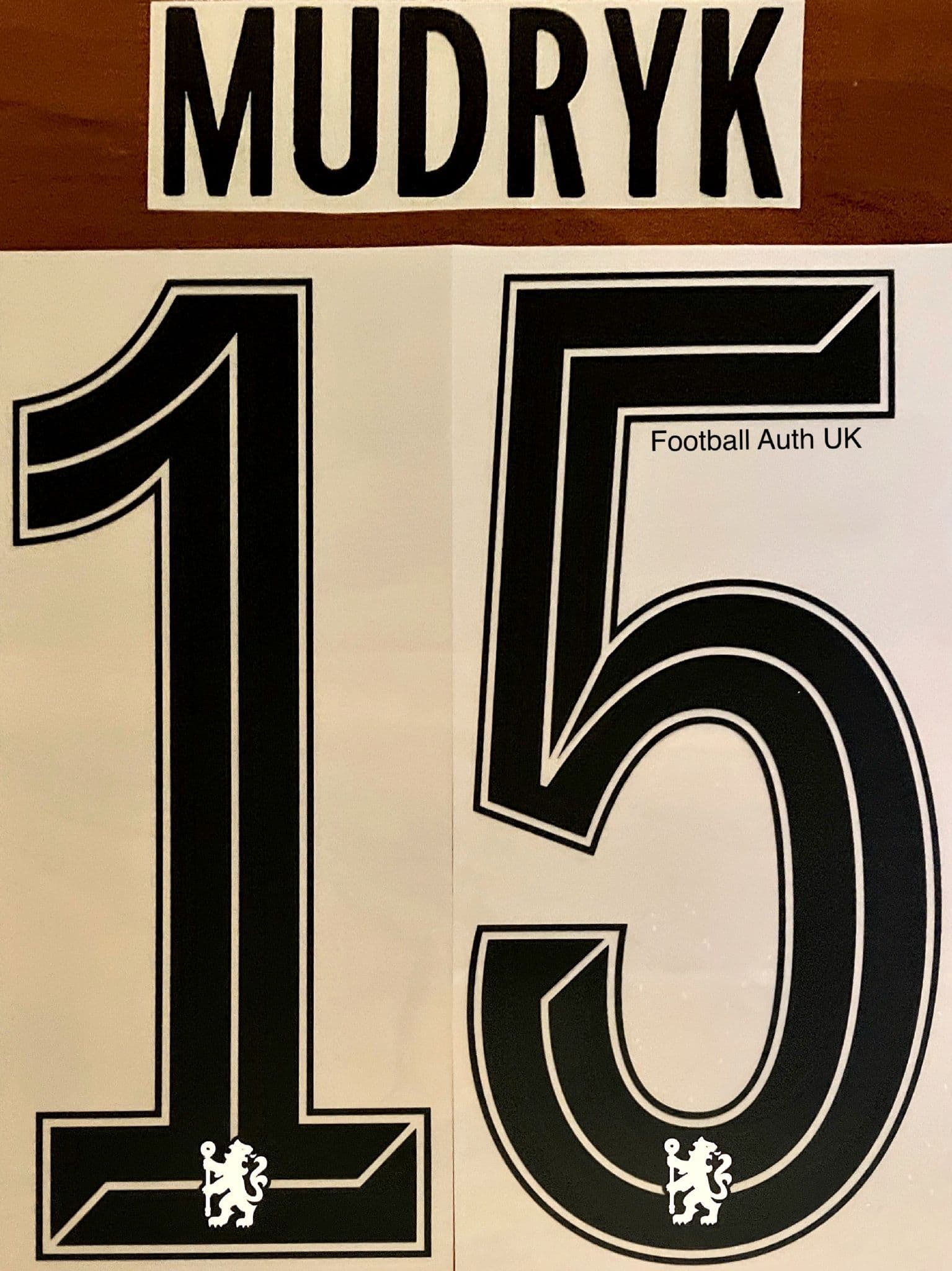 2022-23 Chelsea UCL & FA CUP Third Shirt MUDRYK 15 Official Player