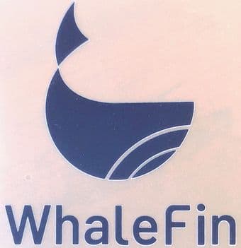 2022-23 Chelsea WHALEFIN Away Shirt Official Player Issue Size Arm Sleeve Football Sponsor Logo
