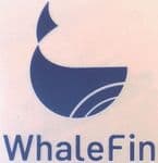 2022-23 Chelsea WHALEFIN Away Shirt Official Player Issue Size Arm Sleeve Football Sponsor Logo