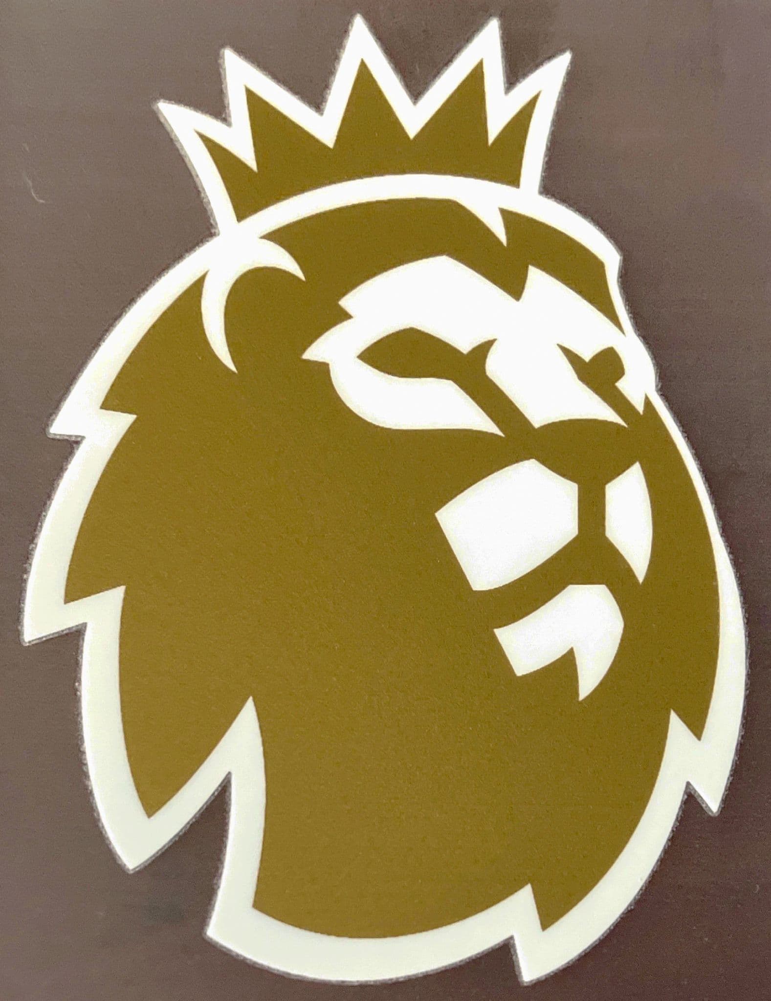 2022-23 Manchester City PREMIER LEAGUE CHAMPIONS Official Player Issue ...