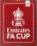 2022-26 Emirates FA CUP Winners 6*Newcastle United & Manchester City*Official SportingiD Badge Patch