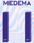 2023-24 Arsenal**Club Cup Style**Away Shirt MIEDEMA#11 Official Player Issue Size Name Number Set