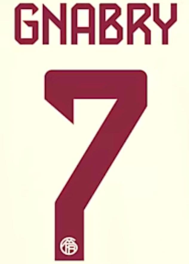 2023-24 Bayern Munich UCL Third Shirt GNABRY 7 Official Football