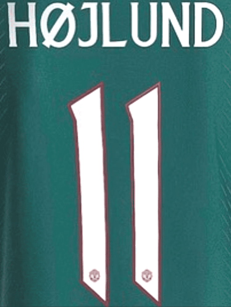 2023-24 Manchester United UCL & FA CUP Away Shirt HOJLUND 11