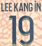 2023-24 PSG Paris LEE KANG IN#19 Jordan X Fourth Shirt Official Player Issue Size Name Number Set