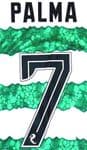 2023-25 Celtic(Glasgow) Home/Away/Third Shirt PALMA#7 Official Player Issue Size Name Number Set