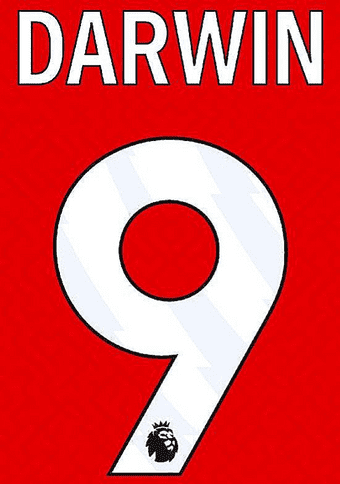 2023-25 Liverpool Home/Away/Third Shirt DARWIN#9 Official Player Issue Size Name Number Set