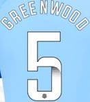 2023-25 Manchester City FA WSL Home/Away/Third Shirt GREENWOOD#5 Official Football Name Number Set