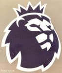 2023-27 FA Premier League Official Player Issue Size Football Soccer Badge Patch
