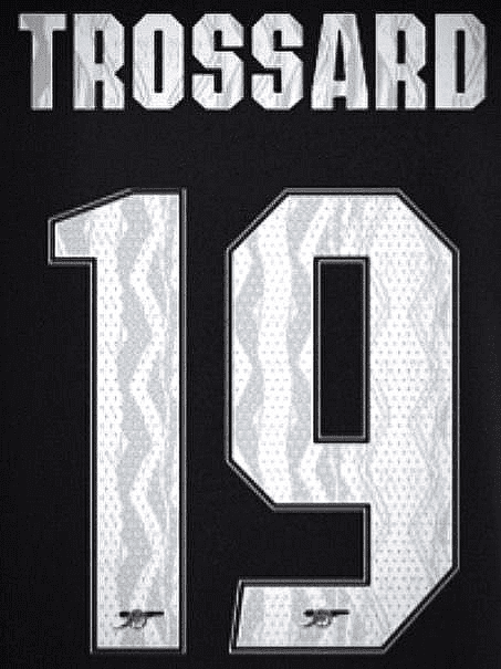 応援グッズ Arsenal 24/25  Kid NO.19 TROSSARD 応援グッズ Arsenal 24/25 Kid NO.19 TROSSARD Leandro Trossard