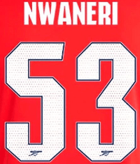 2024-25 Arsenal UCL & FA CUP Home Shirt NWANERI 53 Official